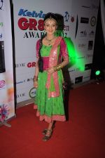 Rati Pandey at GR8 Women Achievers Awards 2012 on 15th Feb 2012 (34).JPG